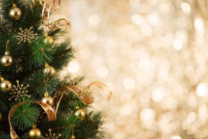 Grüne Weihnachten: So bleibt Ihr Christbaum lange frisch